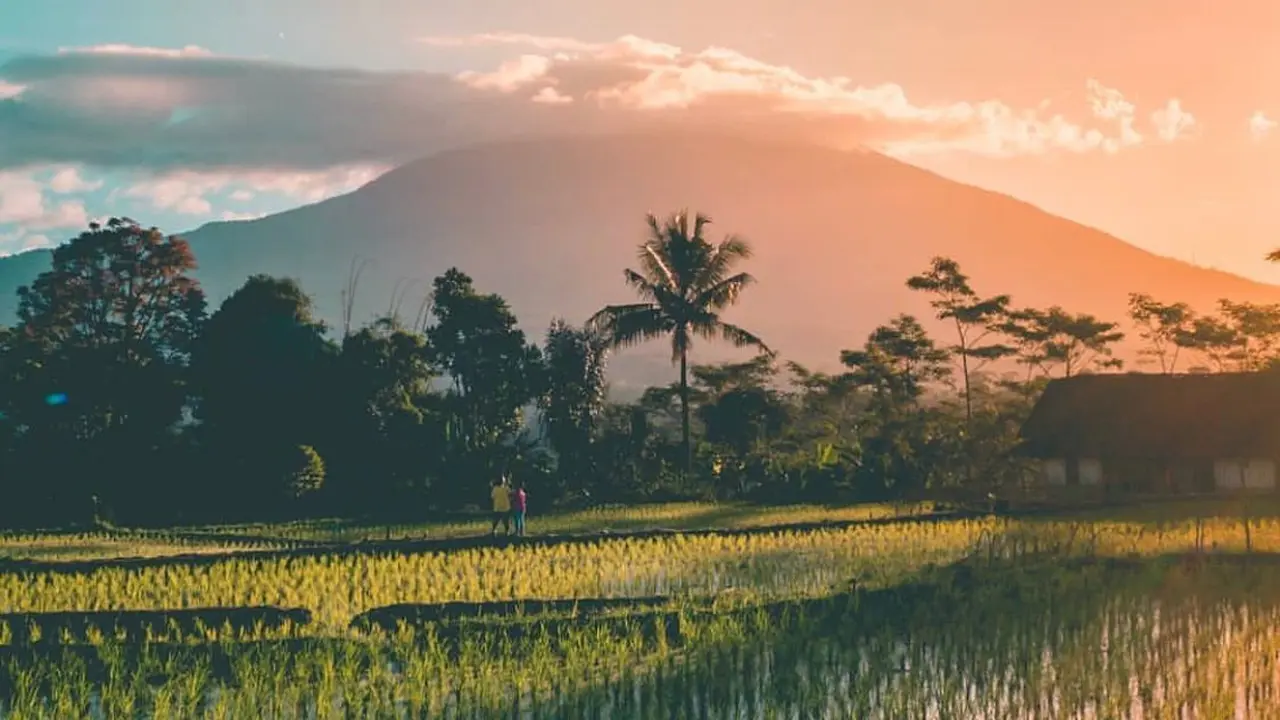 Gunung Cikuray di Garut Jawa Barat dengan pemandangan hamparan sawah di sekitarnya