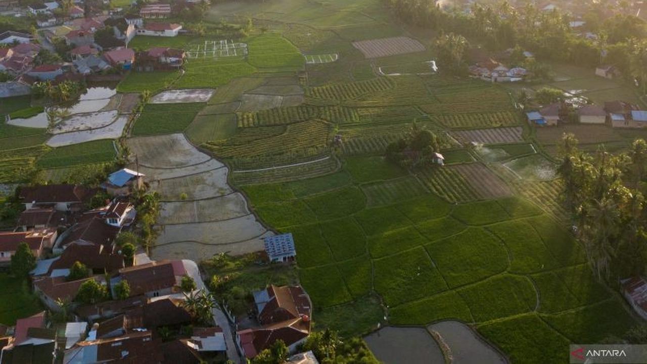Pemkot Padang Tegaskan Pentingnya Keseimbangan Lahan Pertanian dan Investasi untuk Pembangunan Berkelanjutan