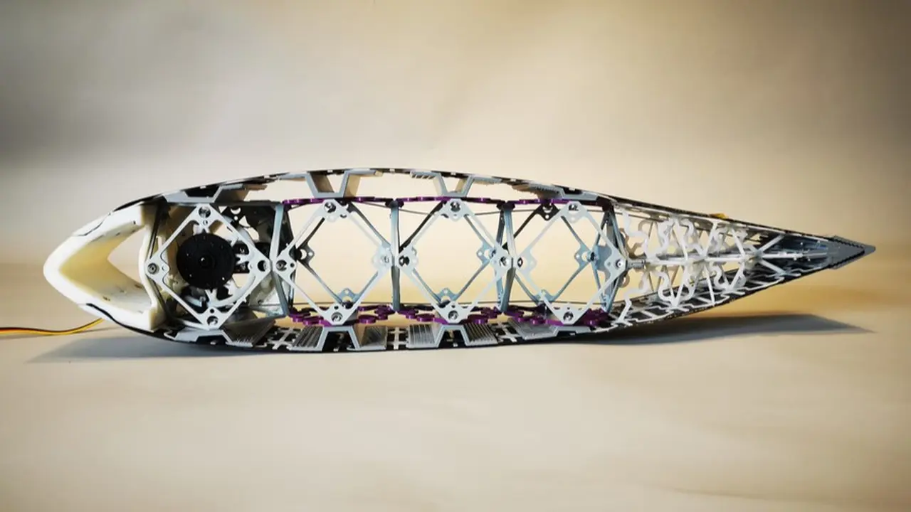 Peneliti Massachusetts Institute of Technology kembangkan RoboTuna, robot bawah air modular menggunakan beberapa substruktur yang dapat dipasang-lepas. Kredit: Peneliti Massachusetts Institute of Technology