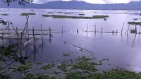 Danau Tondano. (Liputan6.com/Yoseph Ikanubun)