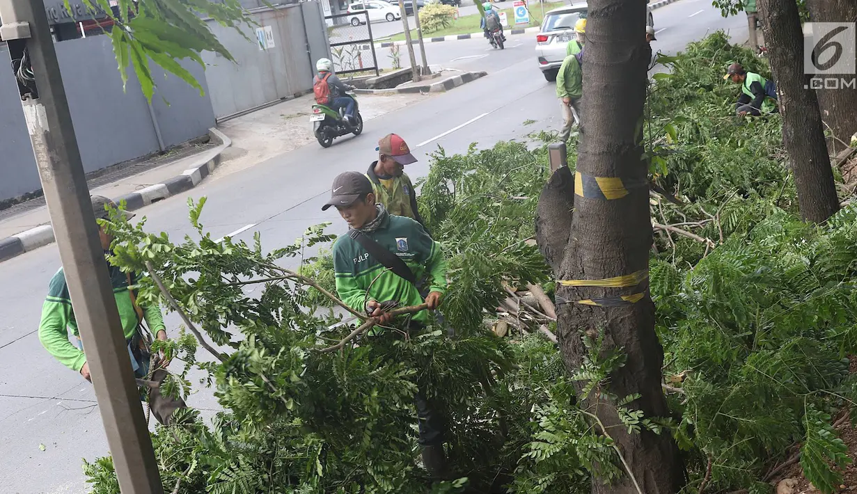 Petugas memangkas dahan pohon yang rimbun di sepanjang Jalan Lenteng Agung Raya, Jakarta Selatan, Rabu (2/1). Pemangkasan dilakukan guna mencegah pohon tumbang akibat musim hujan dan angin kencang. (Liputan6.com/Immanuel Antonius)