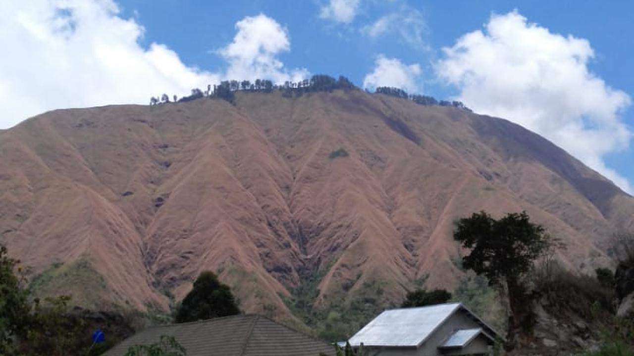 Bukit Pergasingan di Sembalun, Lombok Timur, NTB