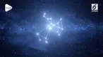 Pemilik tiga zodiak ini disebut-sebut paling malas bersih-bersih.