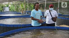 Manajer Program Ekosistem kelautan Yayasan KEHATI Toufik Alansar (kanan) bersawam perwakilan Masyarakat Pelestarian Hutan Pesisir (KMPHP) Mangrove Sarisaat meninjau kegiatan budi daya ikan nila sistem bioflok di Desa Kaliwlingi Kabupaten Brebes, Jawa Tengah (28/03/2022). (Liputan6.com/HO/Ading)