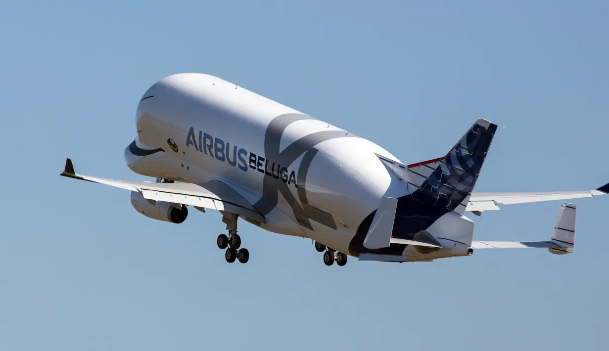 Pesawat Airbus Beluga XL melakukan uji coba penerbangan perdananya di bandara Toulouse-Blagnac, Prancis, Kamis (19/7). Lengkap dengan mulut paus dan mata di kedua sisi hidungnya, Beluga XL akan menggantikan armada Beluga ST. (AP/Frederic Scheiber)
