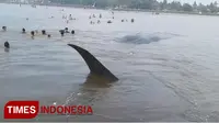 Se ekor ikan paus terdampar yang menjadi tontonan warga di Desa Jangkar Kecamatan Jangkar Kabupaten Situbondo, Jumat (2/3/2018). (Foto: Uday/TIMES Indonesia).
