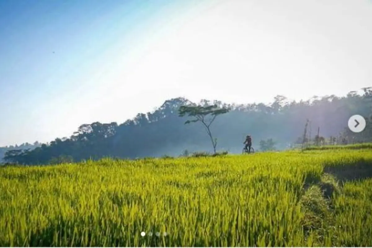 6 Fakta Menarik Sragen