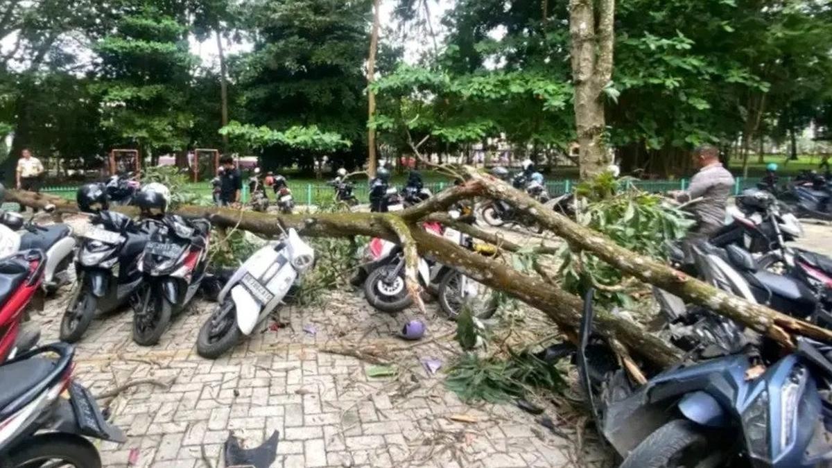 Pohon Tumbang Timpa Deretan Sepeda Motor Mahasiswa, Ada yang Ringsek Tak Bisa Dipakai