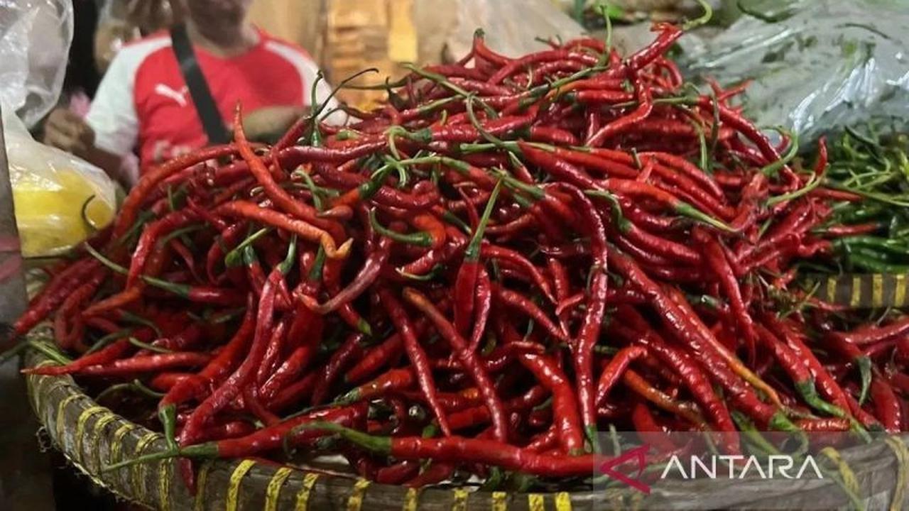 Terkuak! Harga Pangan Terbaru: Cabai Rawit dan Bawang Merah Turun, Bagaimana Komoditas Lainnya?