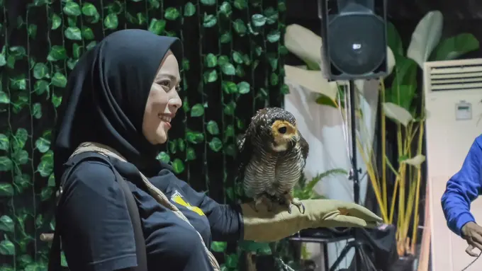 Planimals Exhibition & Zoonimals