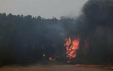Dua Negara Ini Tolak Kirim Pesawat Pemadam Api ke Israel