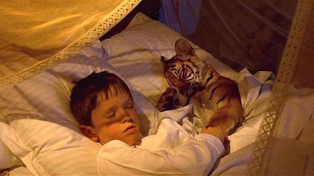 Two Brothers (2004)