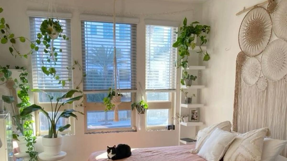 5 Inspirasi Cat Kamar 2 Warna untuk Rumah yang Estetik, Bikin Betah