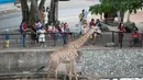 Para wisatawan mengunjungi Khao Kheow Open Zoo di Provinsi Chonburi, Thailand, Selasa (16/6/2020. Enam kebun binatang di Thailand akan kembali dibuka bagi pengunjung secara gratis mulai 15 hingga 30 Juni. (Xinhua/Zhang Keren)