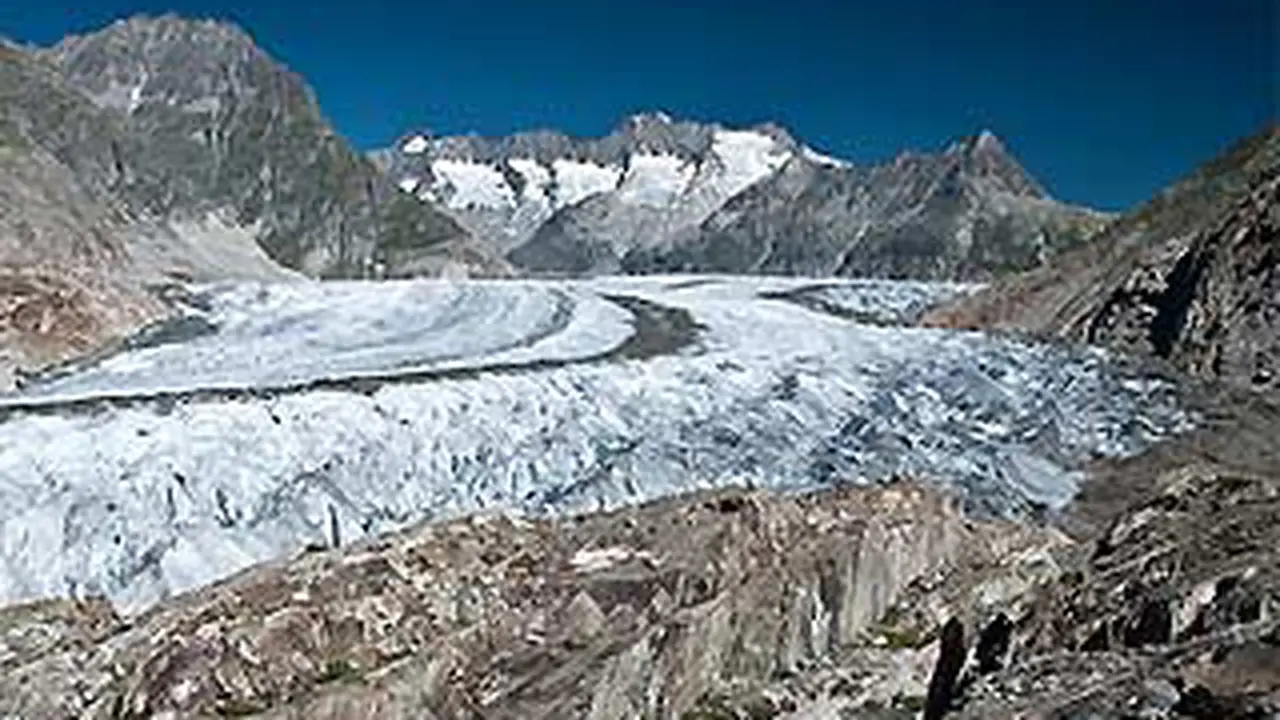 120815agletzer.jpg