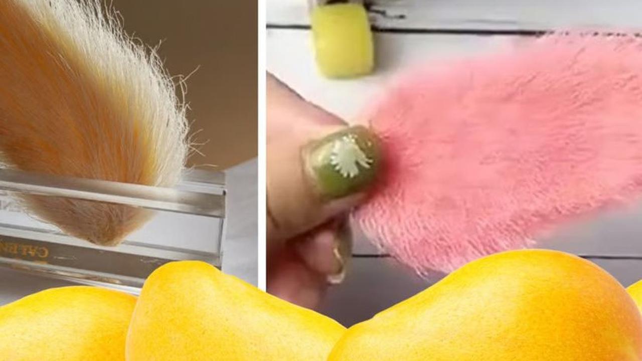 Seorang pemelihara biji mangga lainnya, Xiaomeng, mengatakan kepada Jiupai News, jika ingin memelihara biji mangga maka seseorang harus membeli jenis mangga yang tepat.