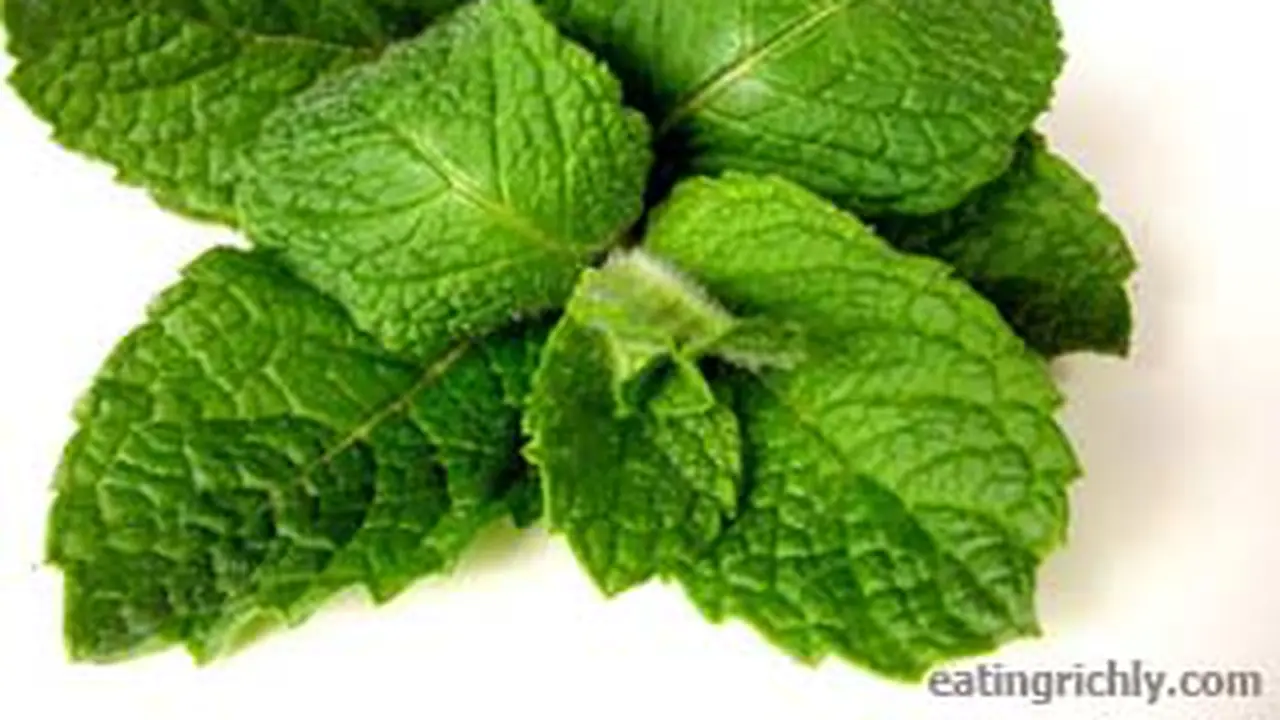 120425bdaun-mint.jpg