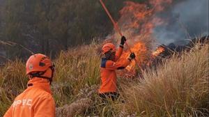 Enam Petugas Gugur di Bromo, BNPB Evaluasi Penanganan Karhutla