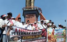 Peternak Blitar Raya Minta Perlindungan Pemerintah: Harga Telur Anjlok dan Pakan Melambung Tinggi