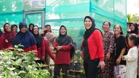 Bakal Calon Wakil Gubernur Sumatera Selatan, Riezky Aprilia saat menemui warga dan kaum perempuan di Sumsel. Dia berharap bisa memberdayakan masyarakat dengan pertanian. (Foto: Istimewa).