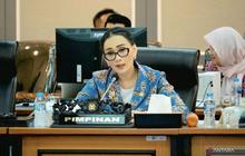 Kepatuhan Meta pada PP Tunas, Anggota DPR Sebut Upaya Komdigi Membuahkan Hasil