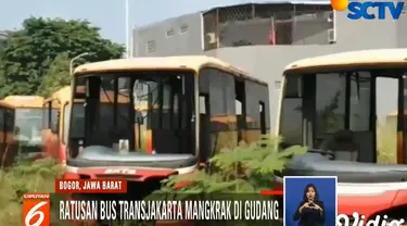 Bus-bus ini diparkir diantara rumput-rumput liar buntut dari perusahaan pemilik yang telah dinyatakan pailit.