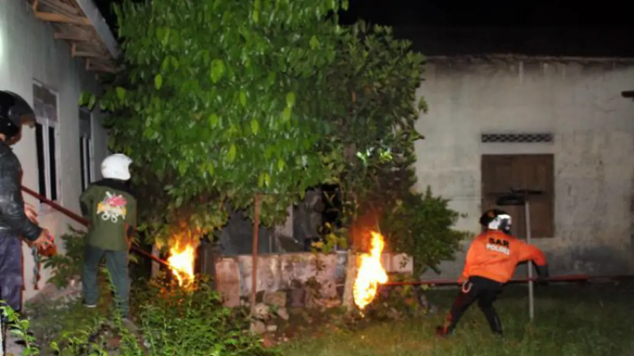 Serangan Tawon di Sragen Telan Korban, Warga Saradan Dilarikan ke RS