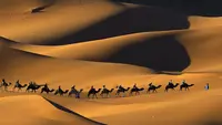 Kisah Umar bin Khattab