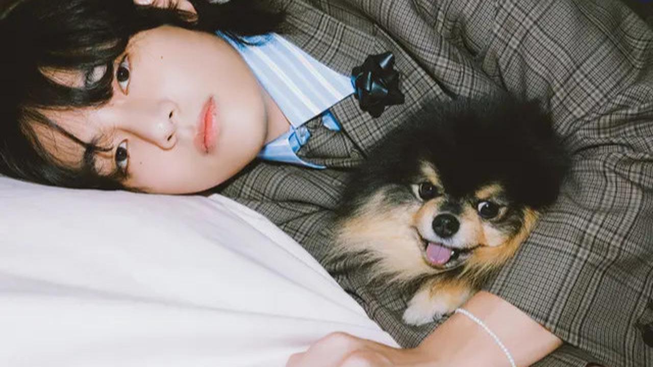6 Potret Kenangan Yeontan dengan V BTS, Saat Diadopsi hingga Tampil dalam Teaser Lagu di Pengujung Usianya