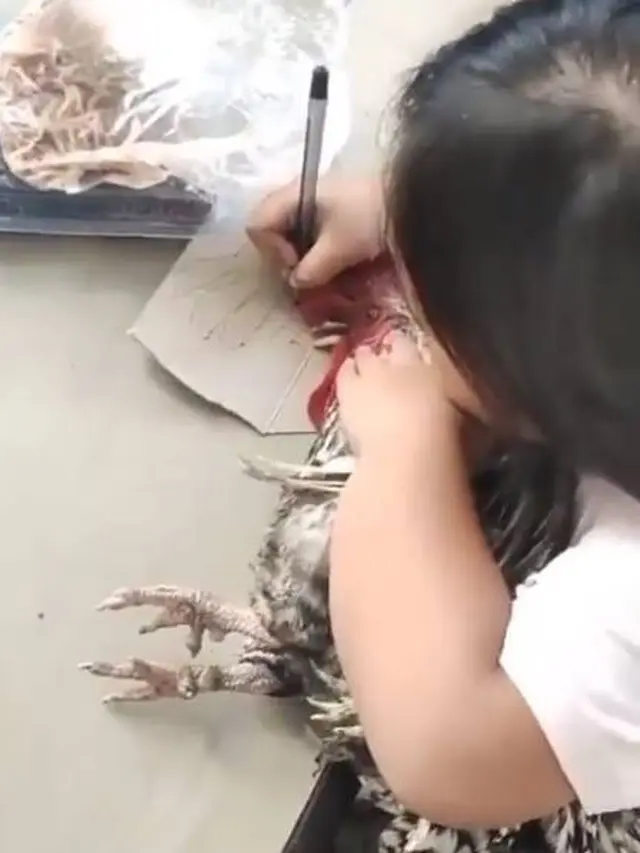 6 Potret Aksi Nyeleneh Anak saat Menjiplak Gambar, Ada yang Pakai Kucing