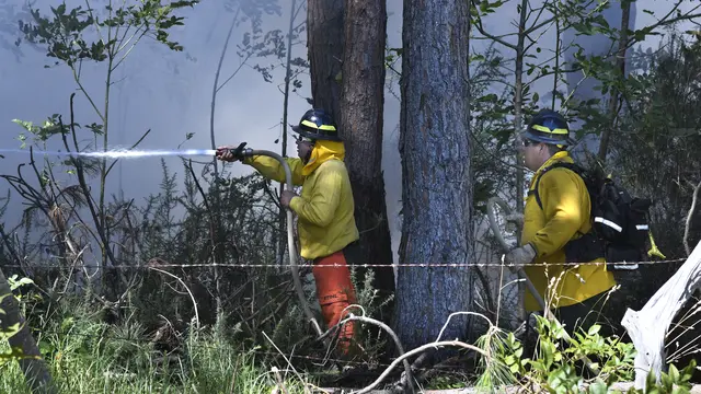 Kebakaran Hutan di Hawaii
