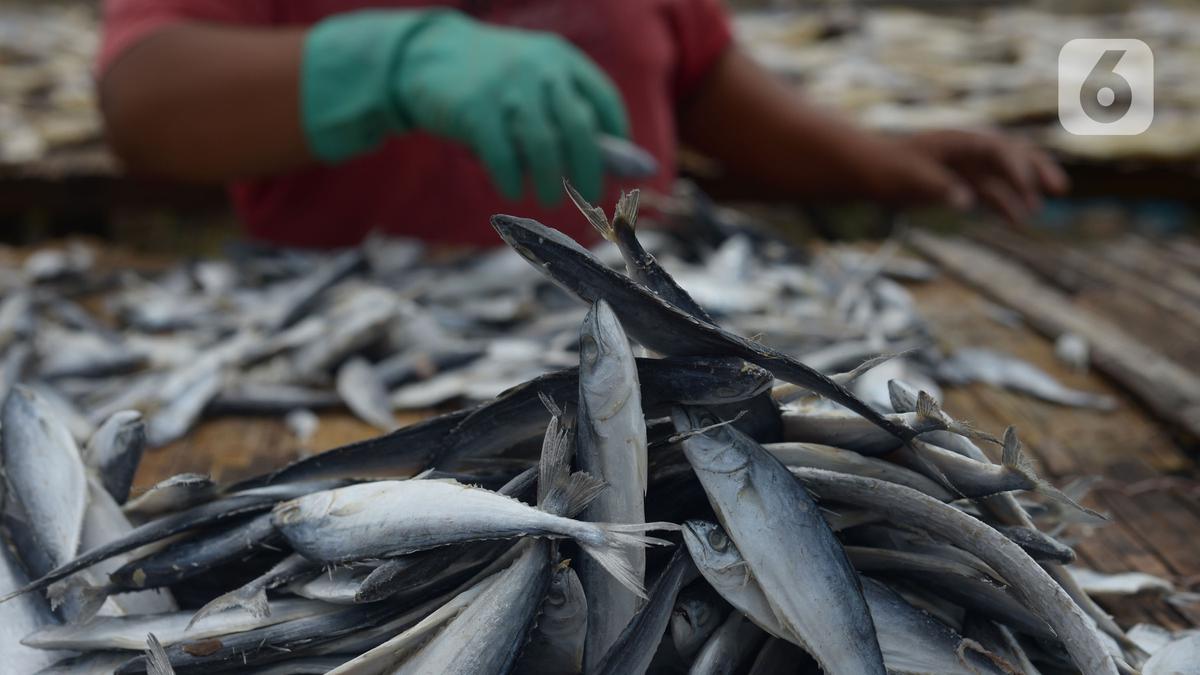 Libatkan UMKM, KKP Makin Gencar Kampanye Makan Ikan