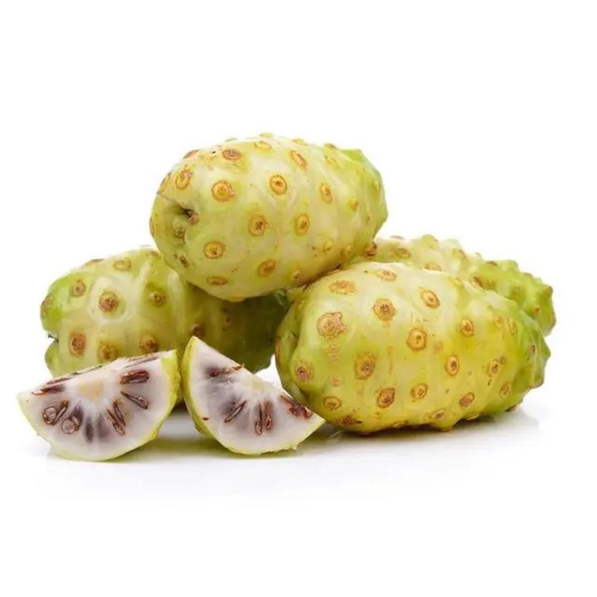Cara Membuat Rebusan Buah Mengkudu yang Penuh Khasiat Kesehatan