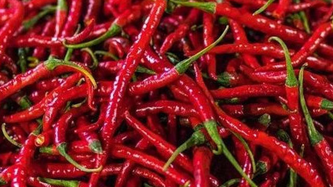 Cabe Merah