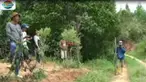 Jasadnya ditemukan warga di sekitar kebun kopi pada Jumat petang. Korban dikenali keluarga berdasarkan pakaian yang terakhir dikenakan korban.