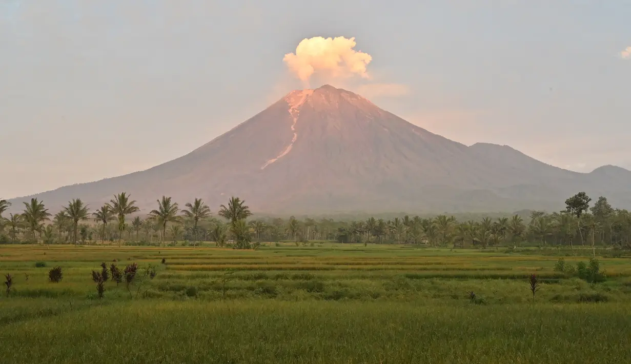 Gunung Semeru menyemburkan asap tipis terlihat dari desa Curah Kobokan di Lumajang, Jawa Timur, Rabu (8/12/2021).  Usai meletus pada Sabtu 4 Desember 2021, Gunung Semeru yang terletak di Lumajang tersebut berstatus level 2 waspada. (ADEK BERRY / AFP)