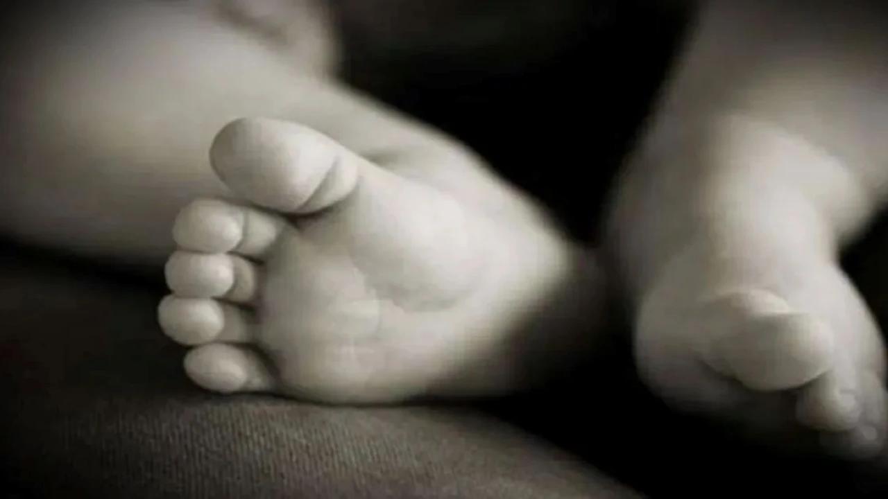 Ibu 20 Tahun Buang Bayi ke Tong Sampah, Dibungkus Sarung dan Dimasukkan ke Ransel