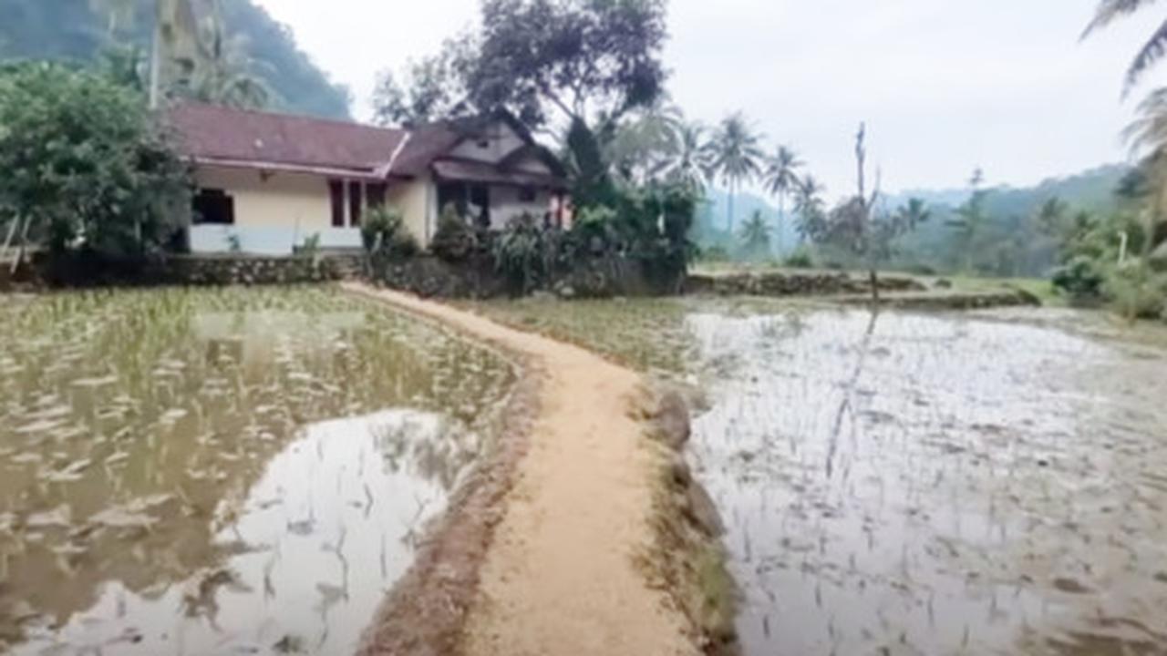 Pria Lanjut Usia Hidup Damai di Tengah Sawah Bareng Istri Muda, Rumahnya Luas dan Bersih