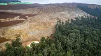 Deforestasi akibat aktivitas eksploitasi proyek pertambangan nikel terbesar di dunia yang beroperasi di sana. (Foto oleh AFP)