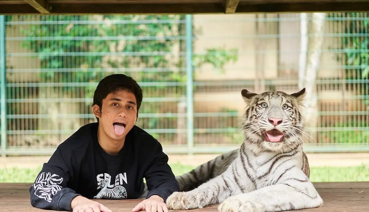 Alshad Ahmad, yang akrab dengan hewan peliharaannya harimau putih yang diberi nama Selen. Alshad dengan santainya berpose dengan Selen. (Foto: Instagram/@alshadahmad)