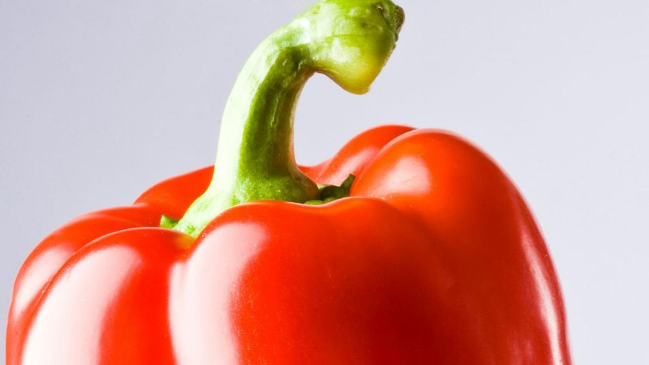 Paprika Merah