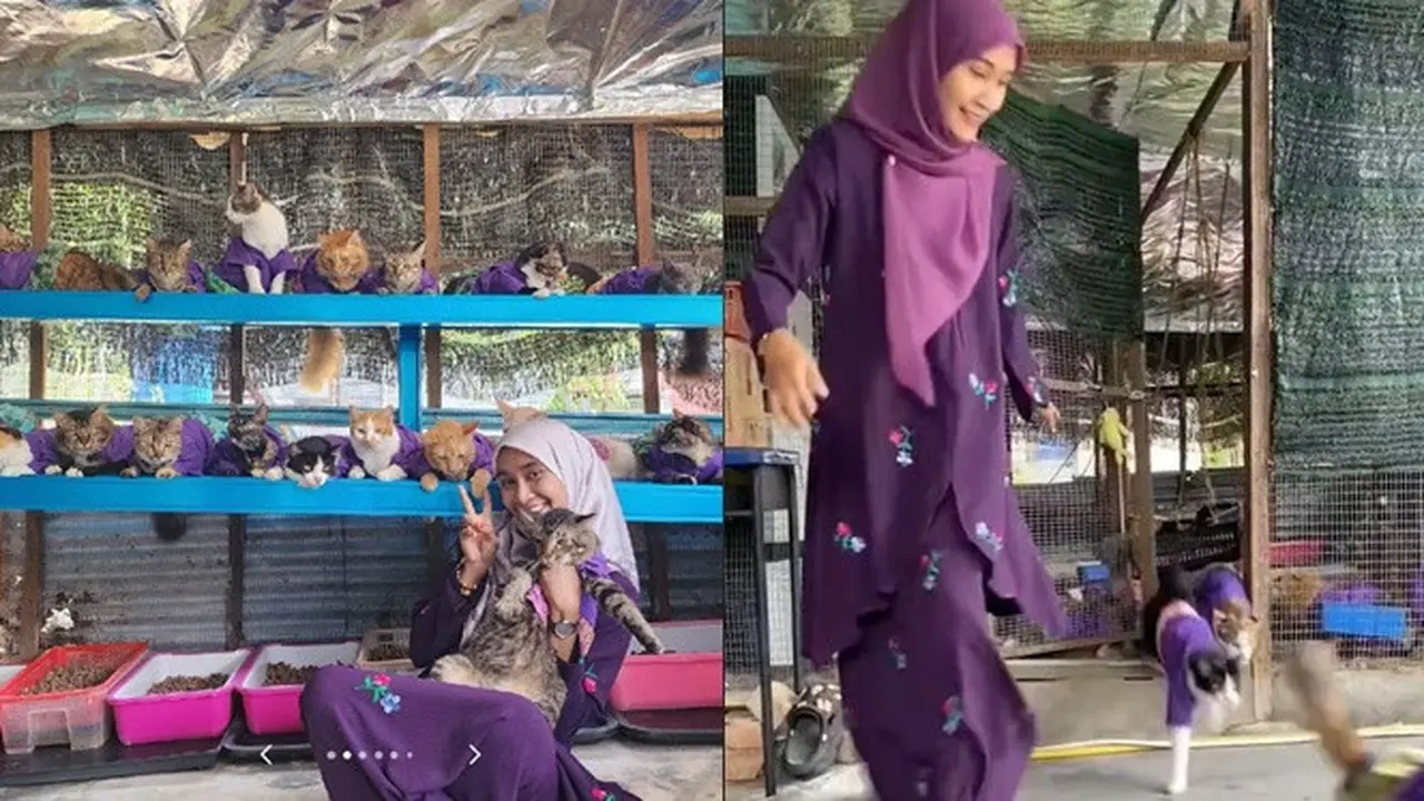 Wanita Ini Pakai Baju Lebaran Kembaran dengan 61 Kucingnya, Meriah Banget