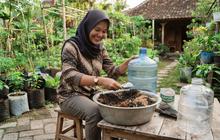 8 Tanaman untuk Ibu Rumah Tangga yang Sibuk tapi Ingin Berkebun, Mudah Dirawat di Rumah