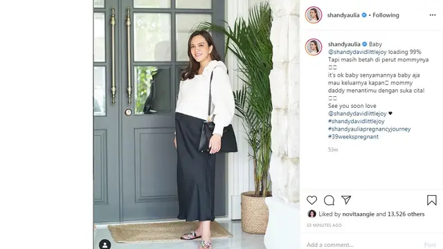 Shandy Aulia (Foto: Instagram/@shandyaulia)