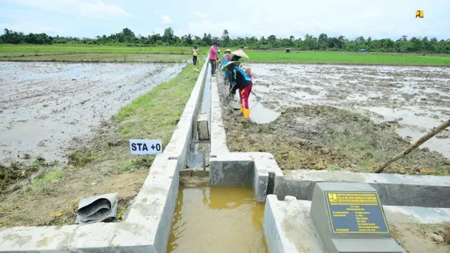 Program Padat Karya Tunai, salah satunya Program Percepatan Peningkatan Tata Guna Air Irigasi (P3TGAI)