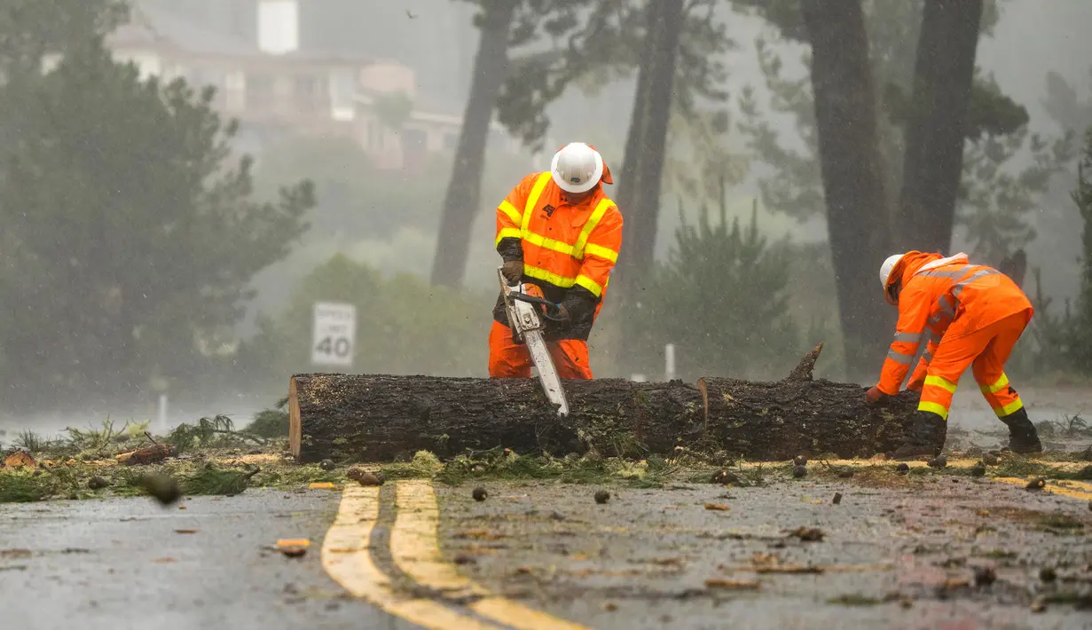 Pekerja CalTrans membersihkan pohon tumbang yang memblokir lalu lintas di State Highway 68, Monterey, California, Amerika Serikat, 31 Desember 2022. Badai dahsyat yang menerjang California menyebabkan banjir, pohon tumbang, hingga tanah longsor. (AP Photo/Nic Coury)