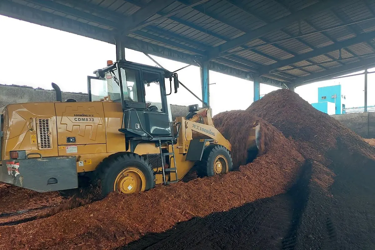 PLN berhasil melakukan uji coba penggunaan 75 persen biomassa Woodchips (kepingan kayu) untuk bahan bakar pengganti batu bara (cofiring) di PLTU Bolok dengan kapasitas 2x16,5 Megawatt (MW) di Kupang, Nusa Tenggara Timur (NTT). (Dok PLN)