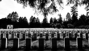 Ilustrasi meninggal, kematian, makam, kuburan. (Photo by davide ragusa on Unsplash)