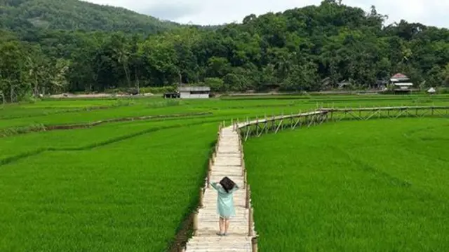 Lagi Hits, Sawah Sukorame Jadi Spot Swafoto Instagenic di Jogja