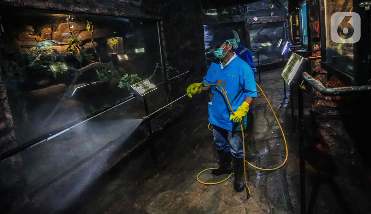 Petugas menyemprotkan cairan disinfektan di Taman Komodo TMII, Jakarta, Rabu (18/3/2020). Penyemprotan dilakukan untuk mengantisipasi penyebaran virus corona COVID-19. (Liputan6.com/Faizal Fanani)